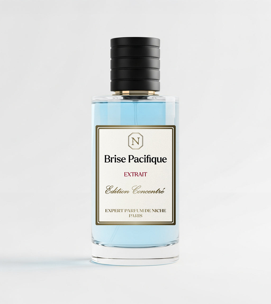 BRISE PACIFIQUE – dans l’esprit de Pacific Chill